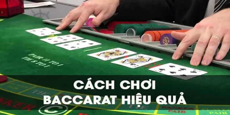 ảnh đại diện cách chơi baccrat