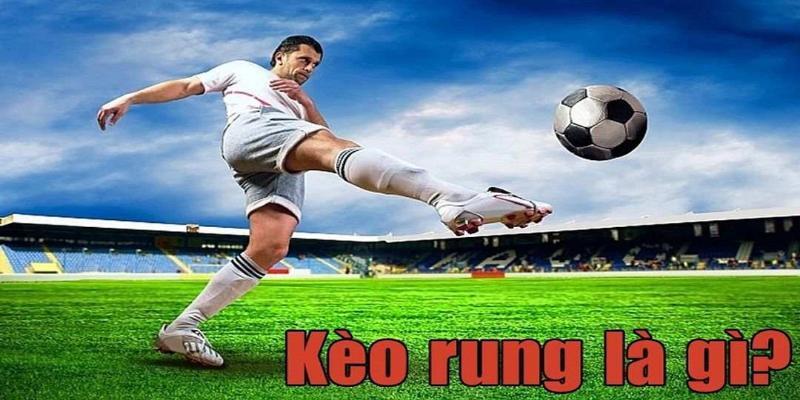 Kèo rung trong cá độ bóng đá siêu thu hút