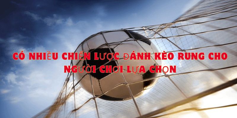 Người chơi cần xem xét chiến lược cược thích hợp