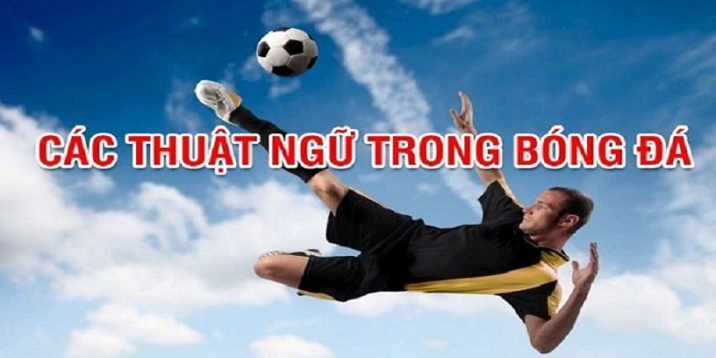 ảnh đại diện thuật ngữ bóng đá