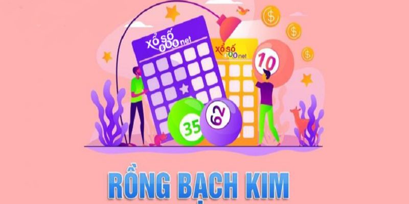 Các bước soi cầu rồng bạch kim 247 tại nhà cái 8kbet nhanh chóng